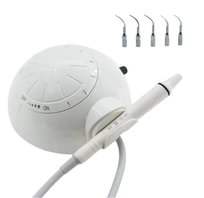 Amazon.co.jp: SNAWOP 歯科用超音波スケーラー ピエゾホルダー 6